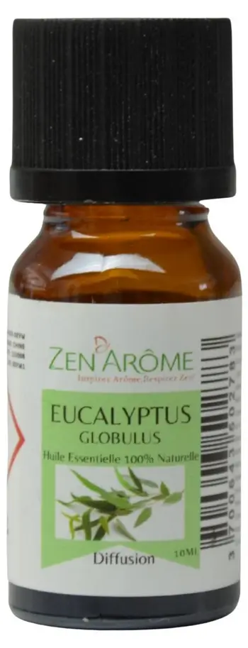 脛therisches ml 脰l Eukalyptus 10 -