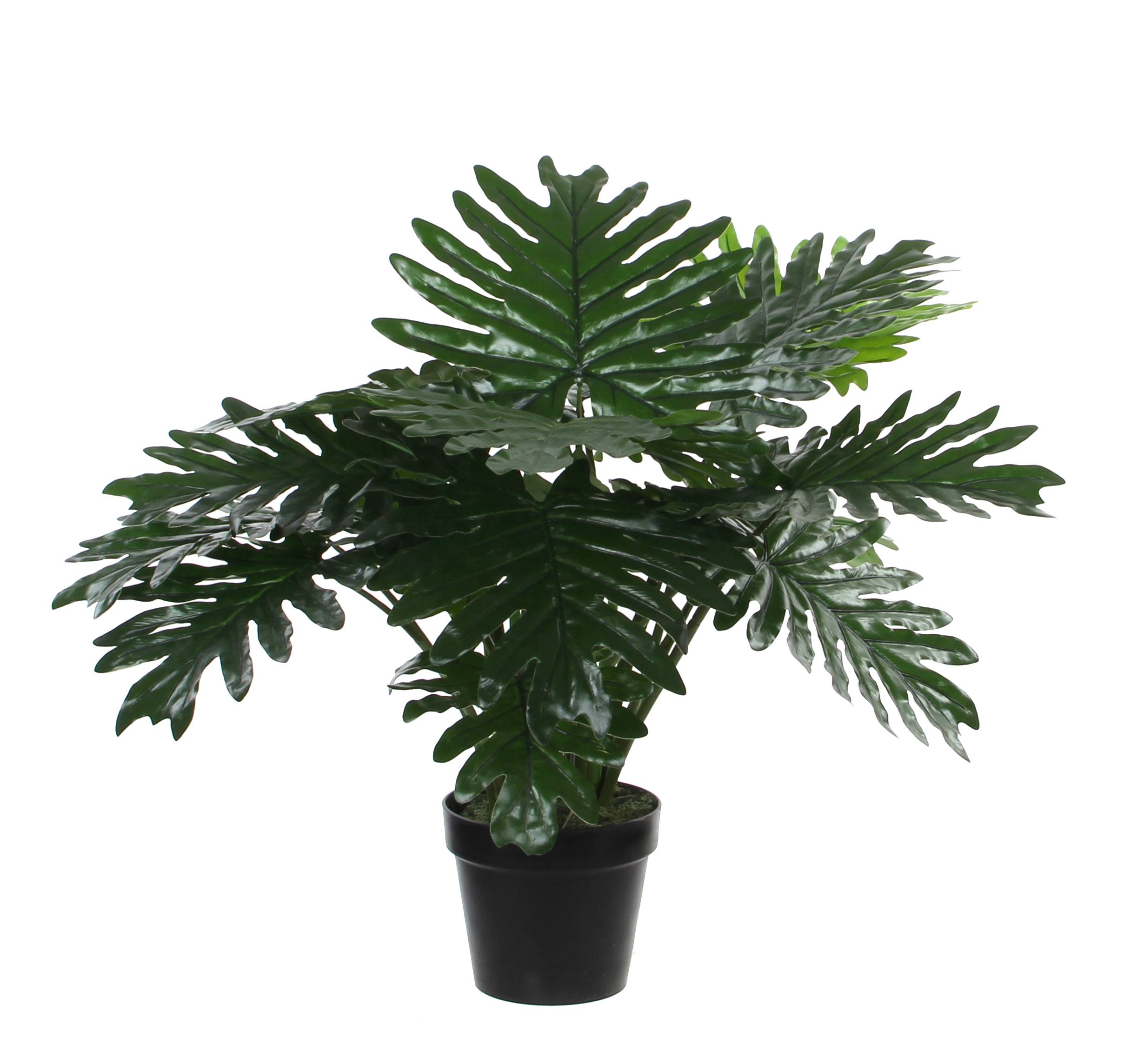 Kunstpflanze Philodendron home24 | kaufen