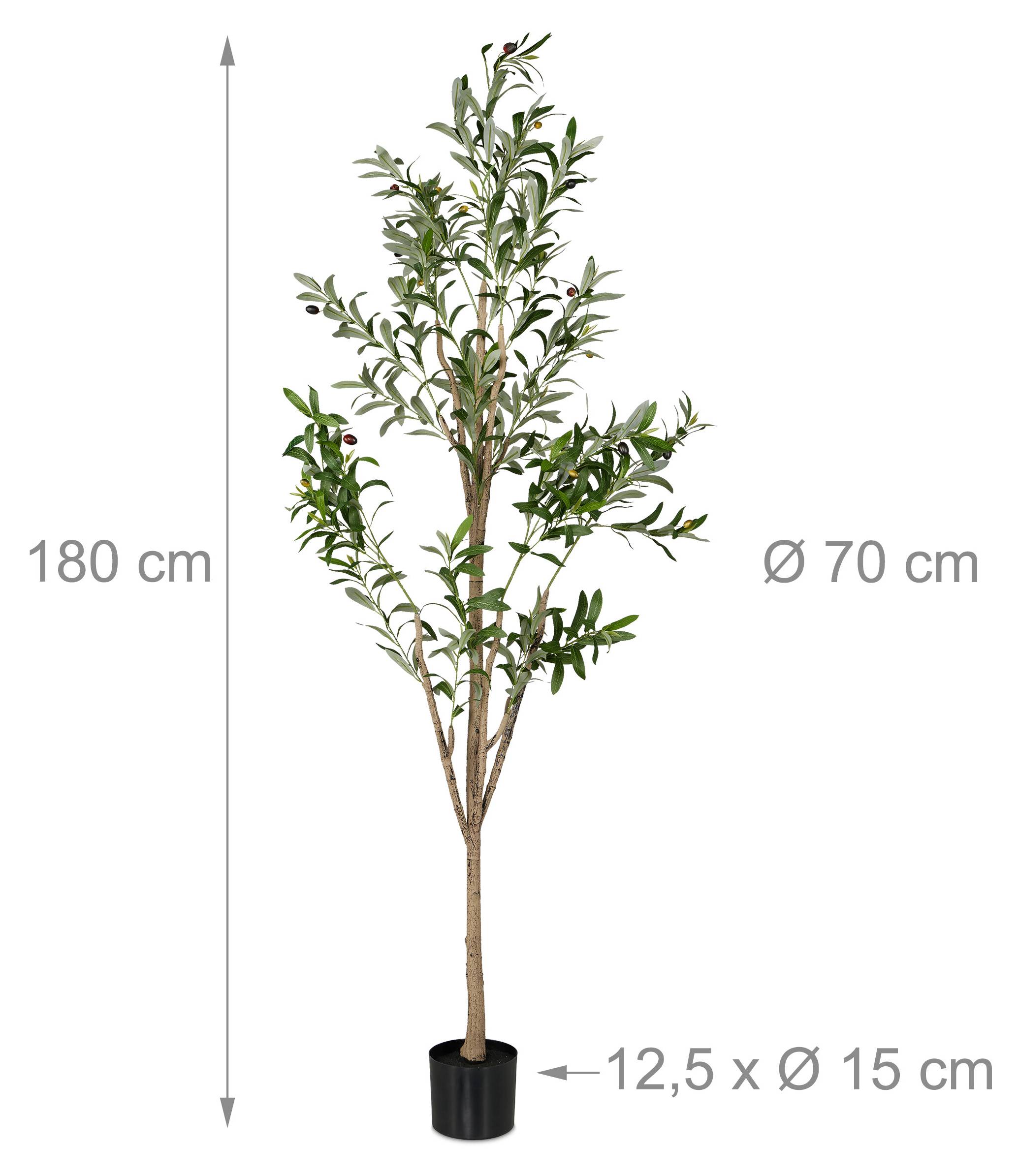 rhododendron micranthum nugget Jetzt Rhododendron 'Bloombux' ® Magenta online kaufen bei Bohlken  Pflanzenversand – Bohlken Pflanzenversand GbR
