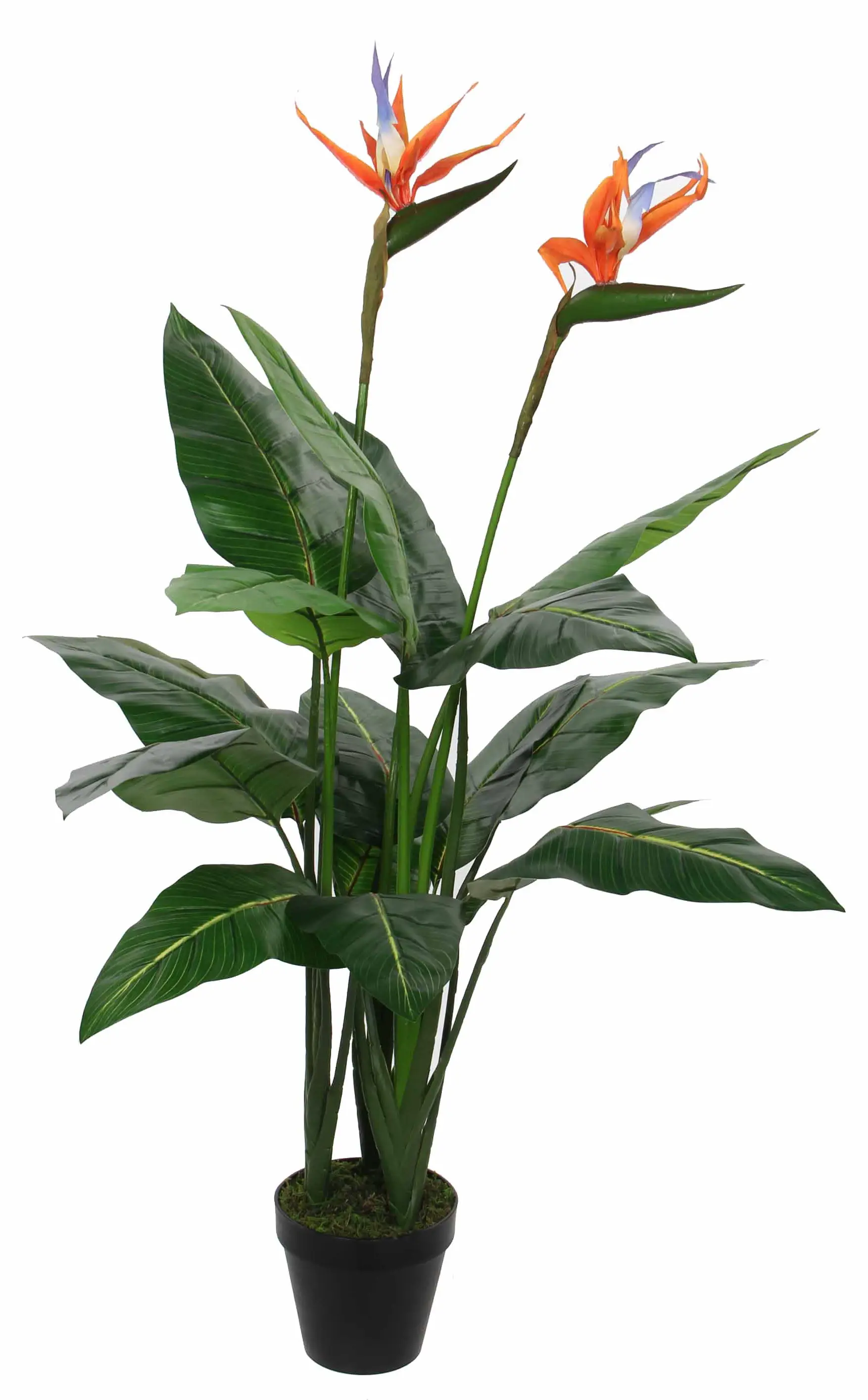 Strelitzia Kunstpflanze