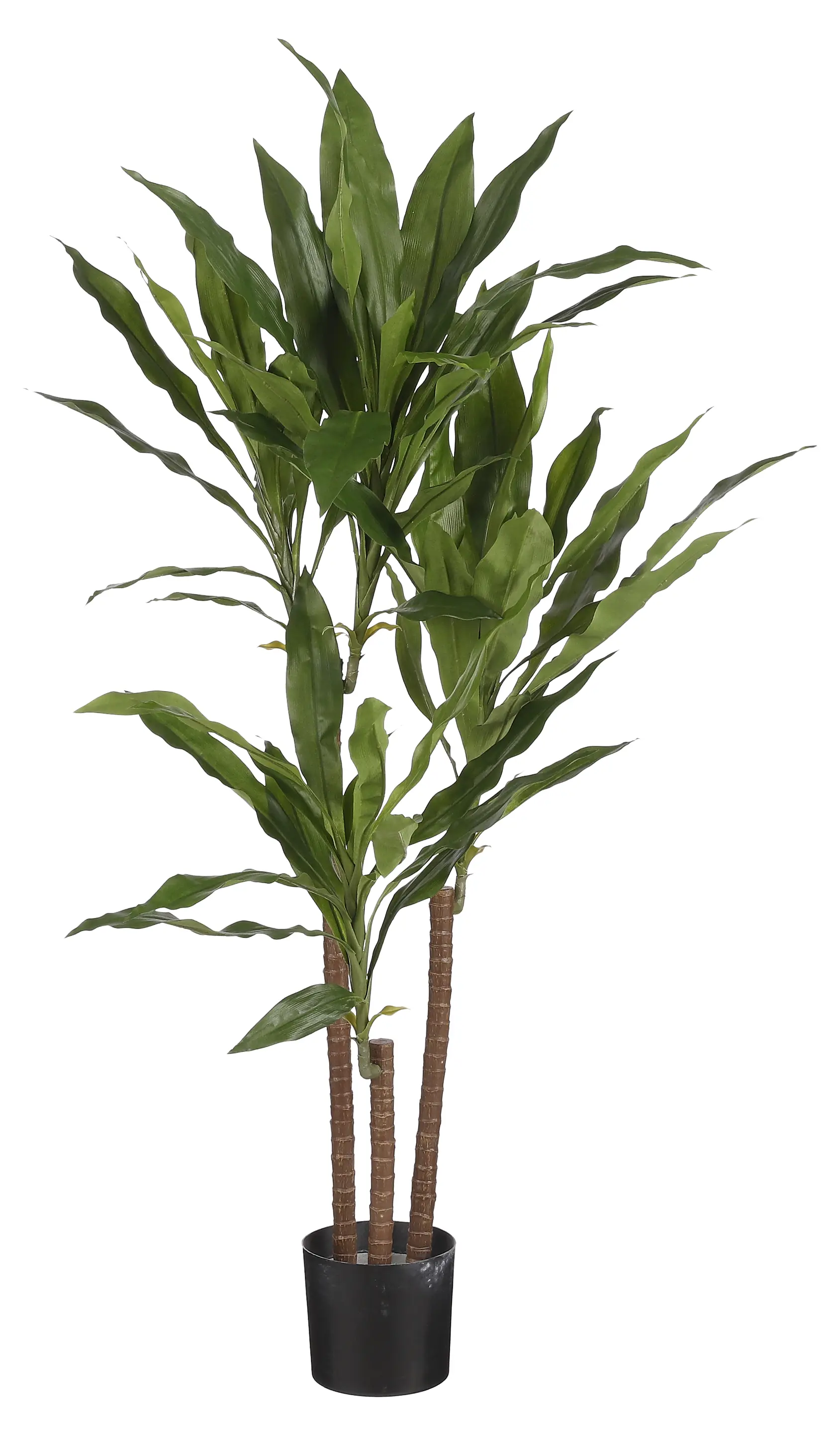 Dracaena Kunstpflanze