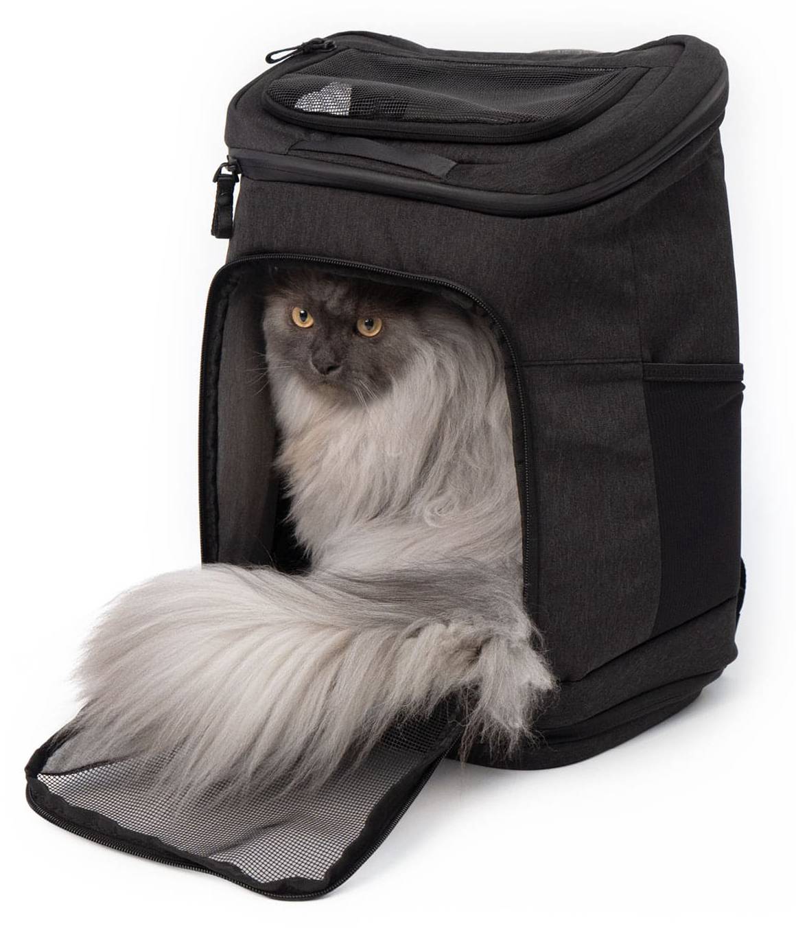 Katzen Transport-Rucksack HOP-ON kaufen | home24