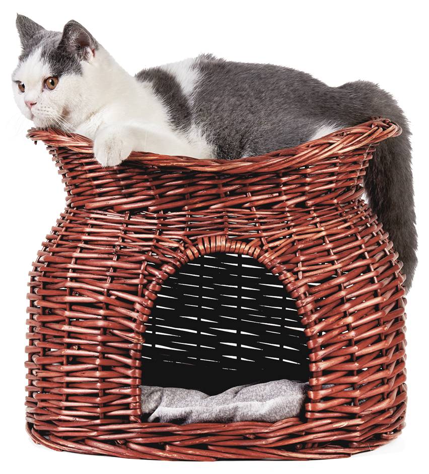 Katzenkorb Aus Rattan