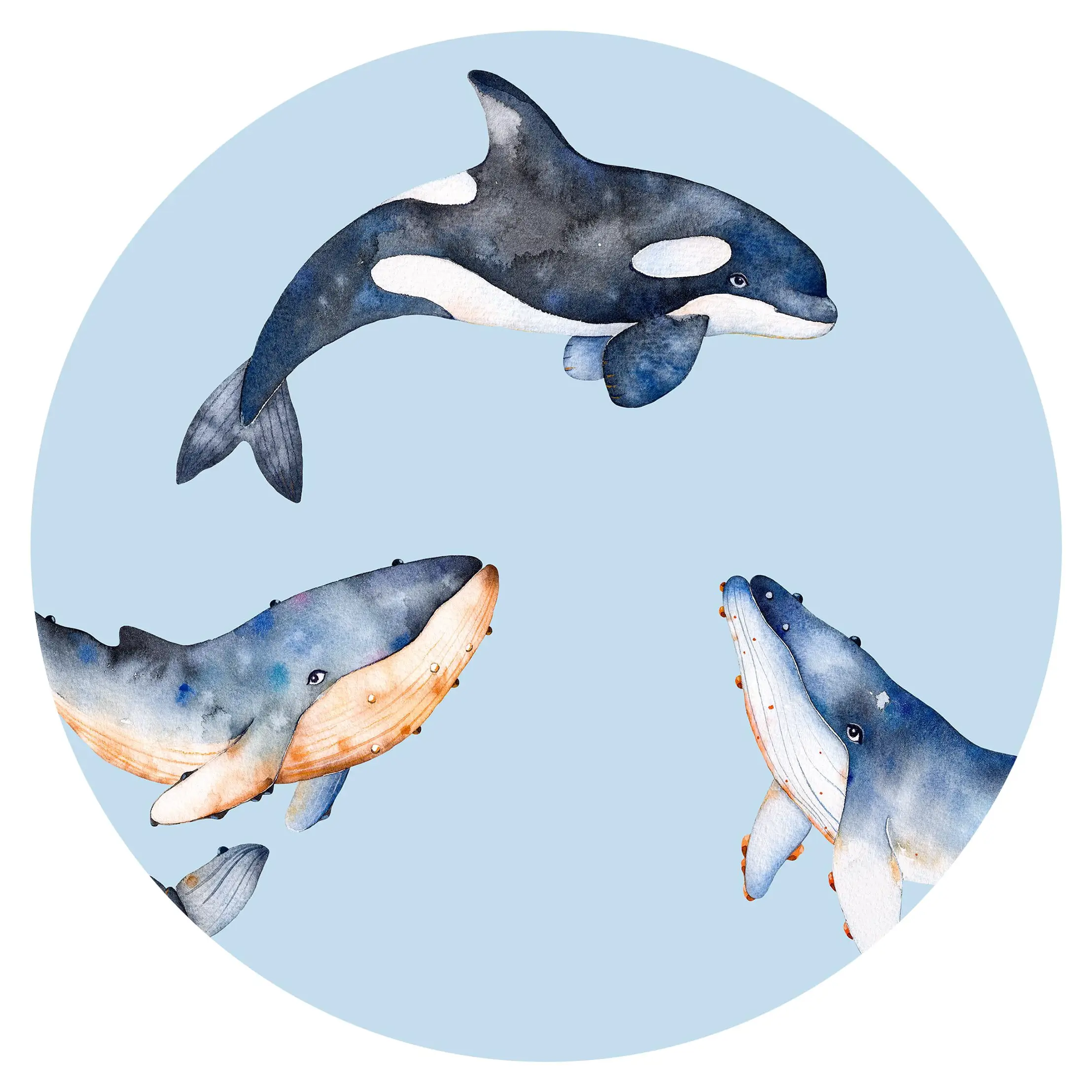 Illustrierte Wale als Aquarell