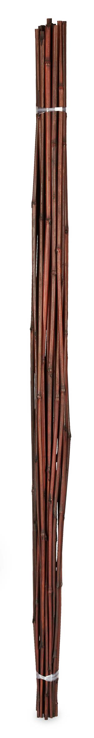 25er Set Pflanzstäbe Bambus 150 cm kaufen home24