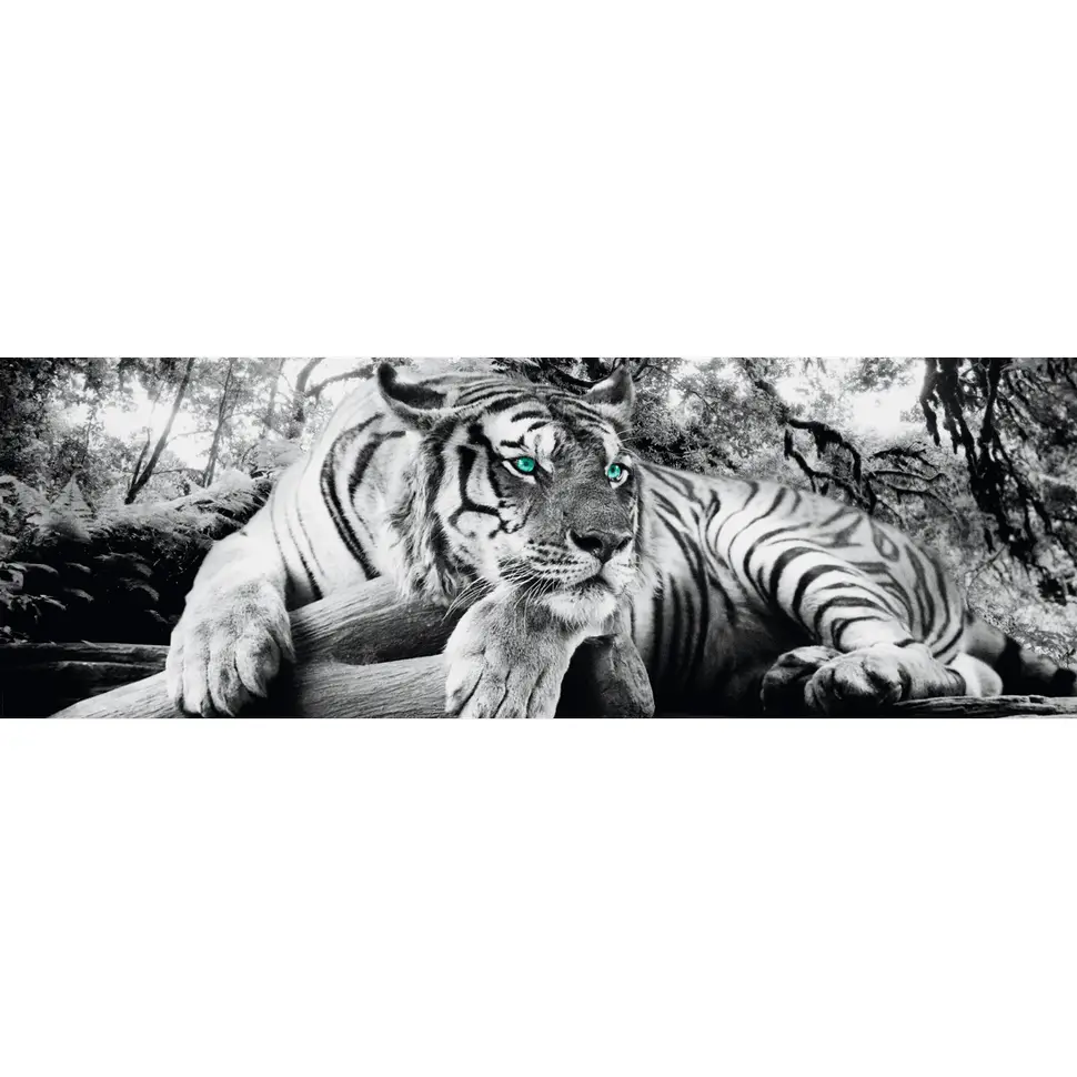Tigerblick I Bild