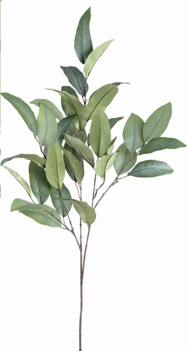 K眉nstliche Eucalyptus Pflanze