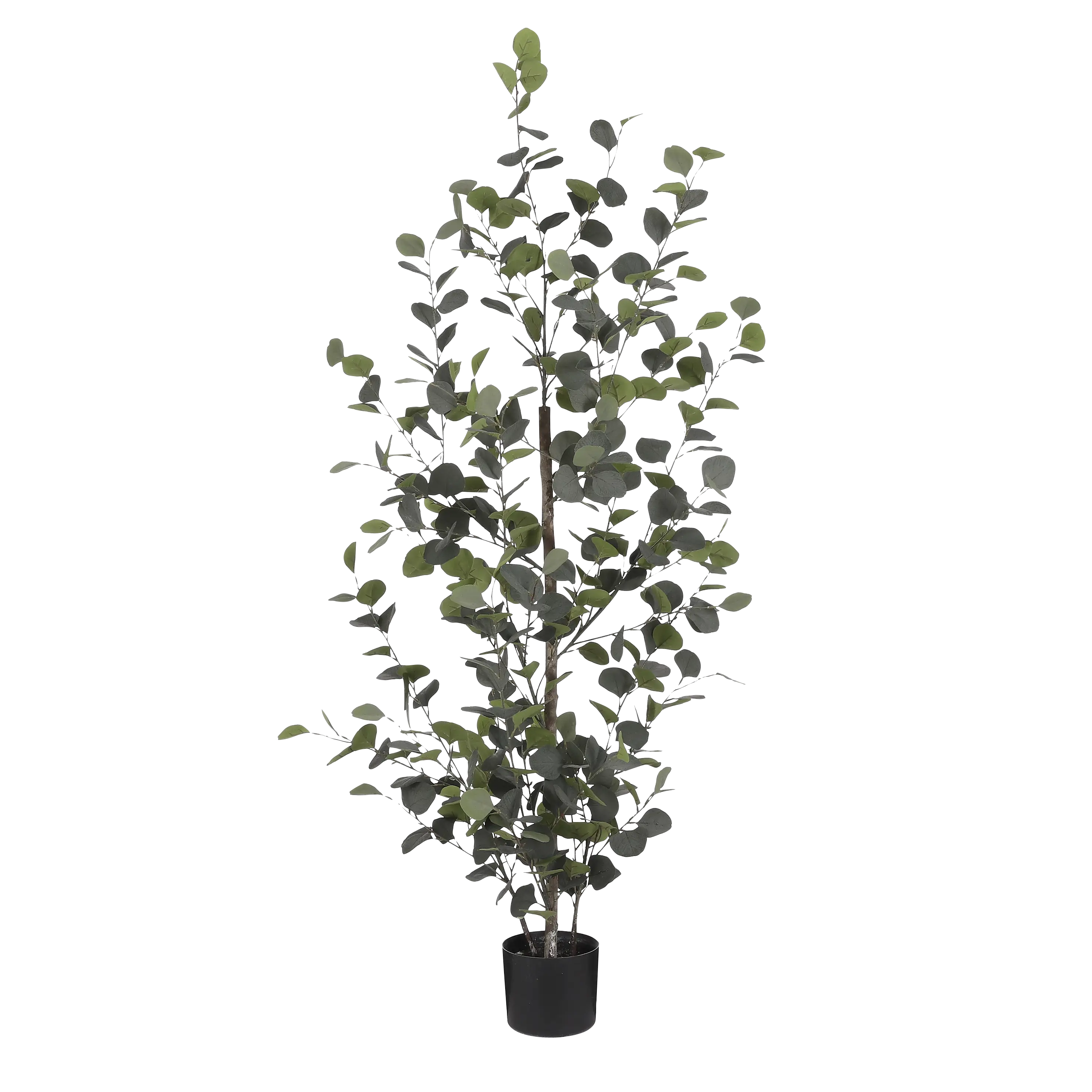 Eukalyptus Kunstpflanze