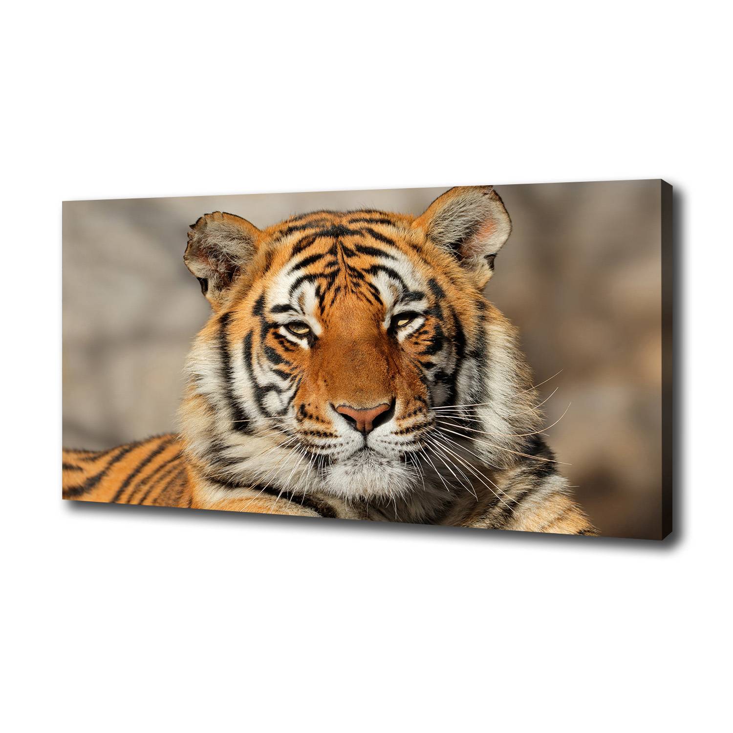 3D Metallbausatz Bengalischer Tiger - 700 Teile, 18x8x12 Cm, DIY Deko Mit LED-Lichtern, Steampunk-Stil