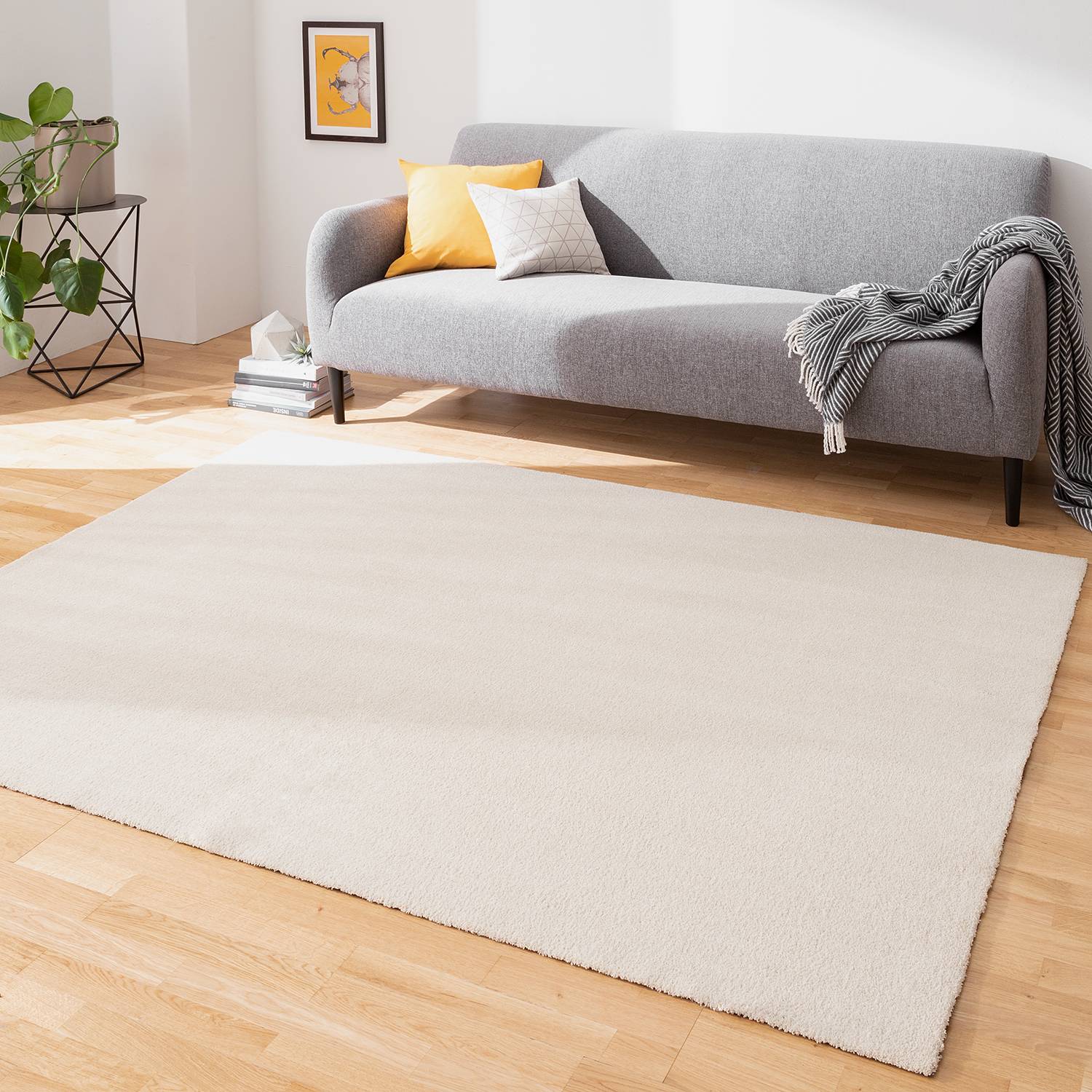 Teppiche Online Gunstig Kaufen Uber Shop24 At Shop24