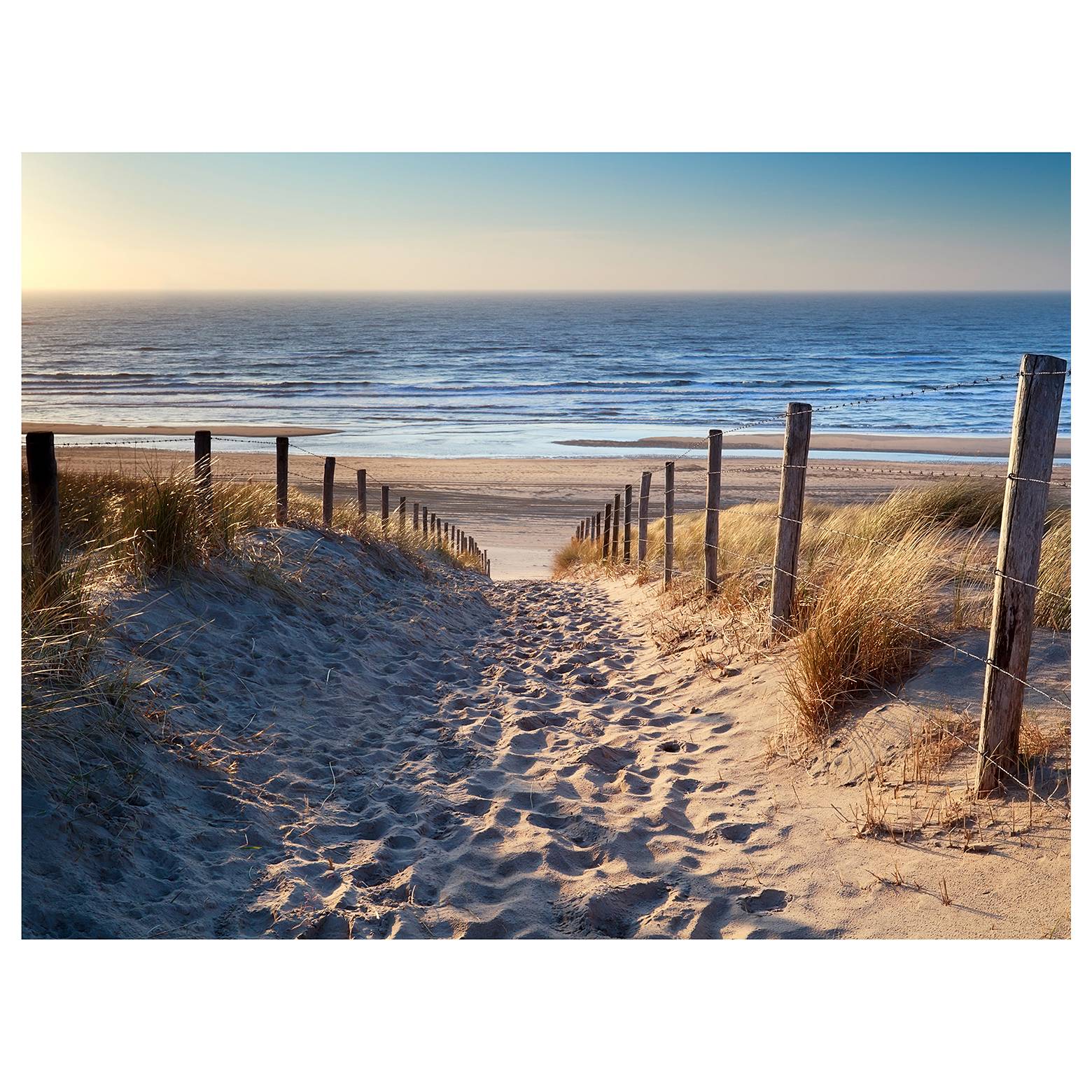 Afbeelding Malik V Twentyfour twentyfour kopen in de aanbieding