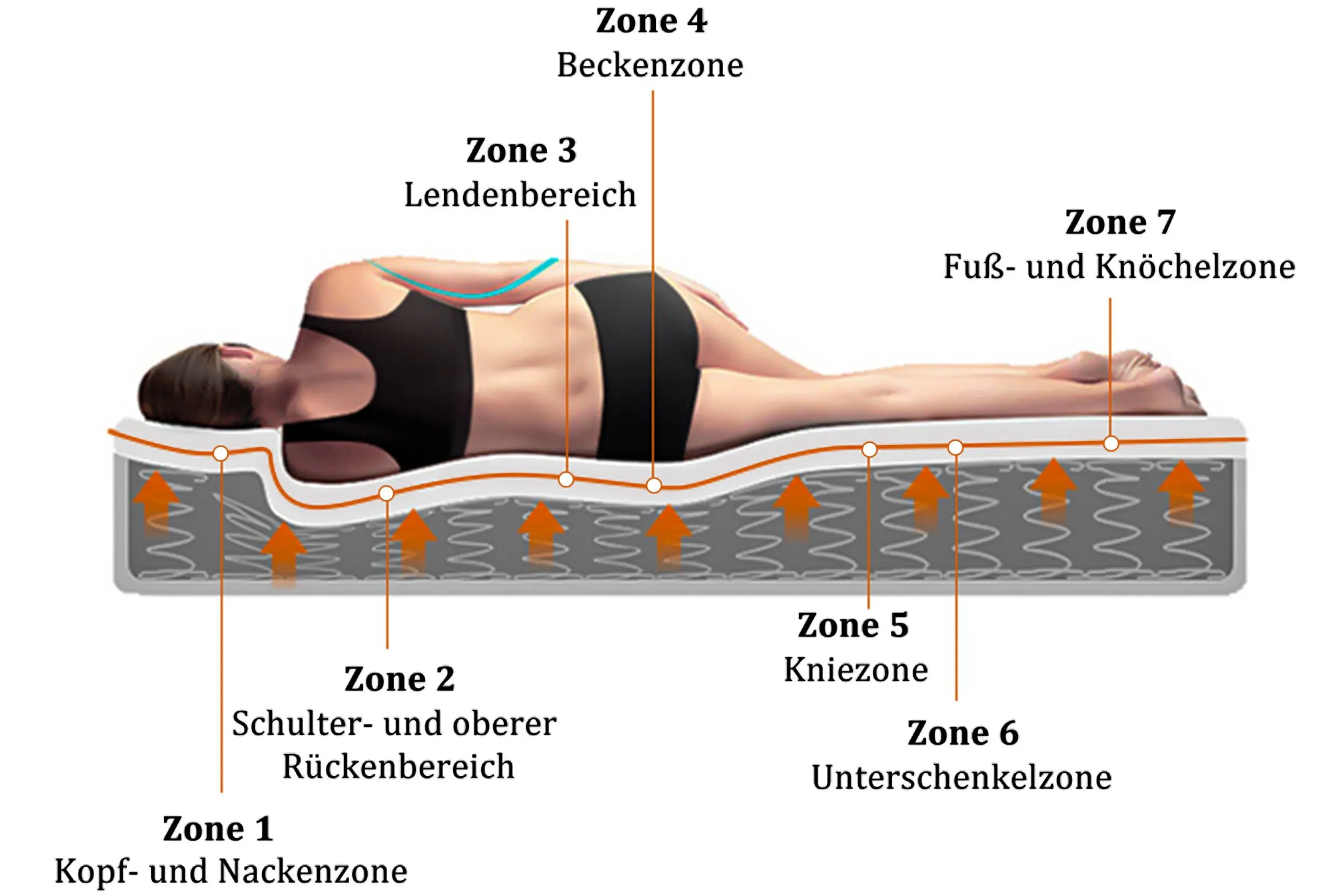 Liegezonen bei Matratzen: Beschreibung einer 7-Zonen-Federkernmatratze im Onlineshop home24