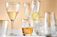 BUTLERS Gläserkunde Wasserglas, Weinglas bis Sektglas