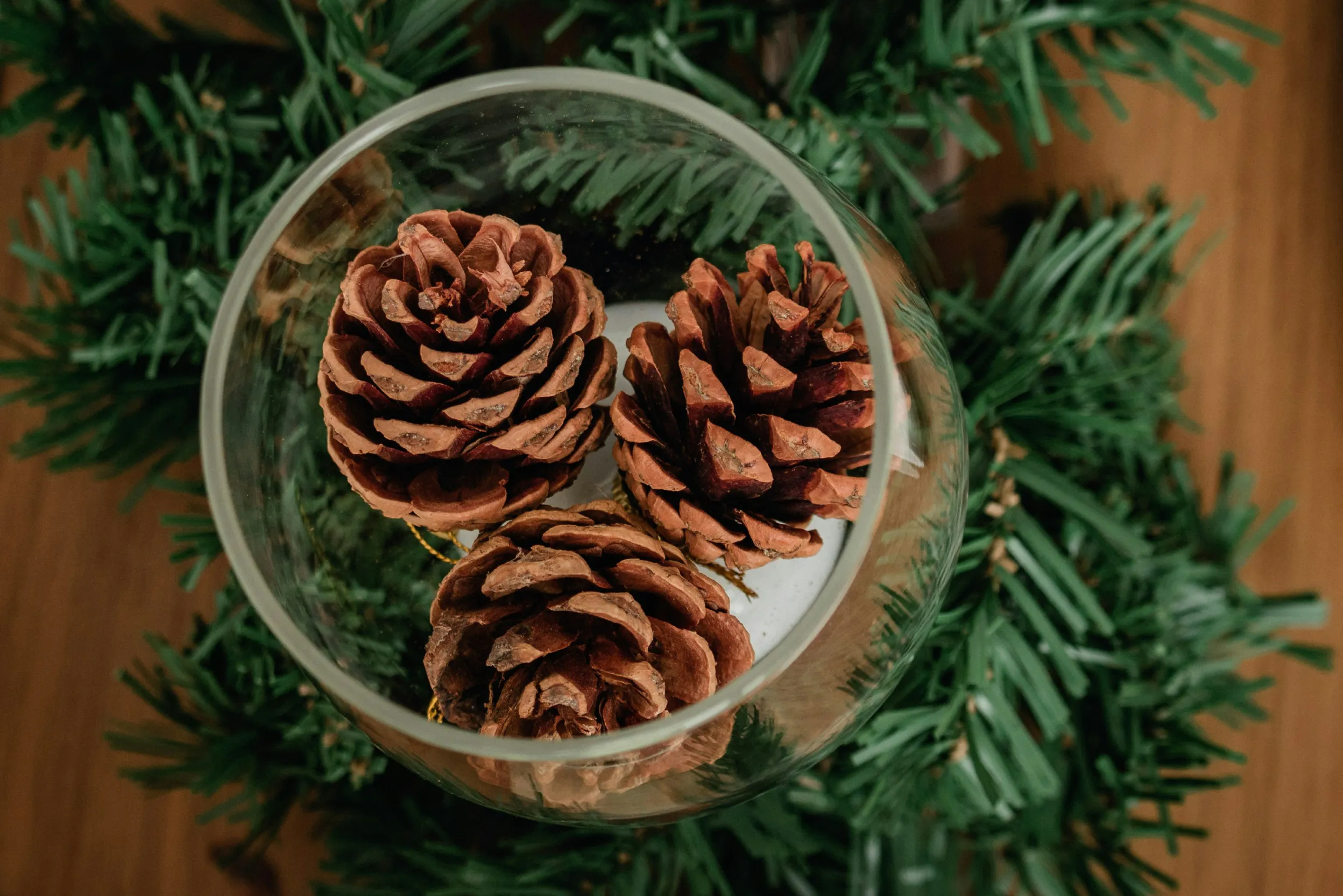Glas mit Tannengrün und Tannenzapfen