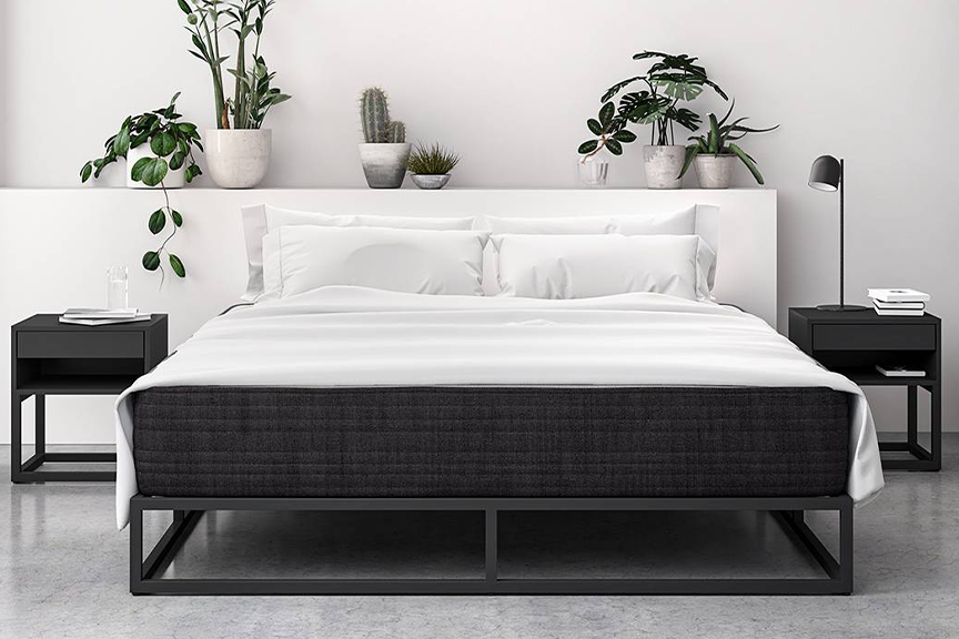 Schwarzes Metallbett in einem monochrom eingerichteten Schlazimmer mit vereinzelten Grünpflanzen