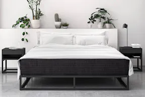 Schwarzes Metallbett in einem monochrom eingerichteten Schlazimmer mit vereinzelten Grünpflanzen