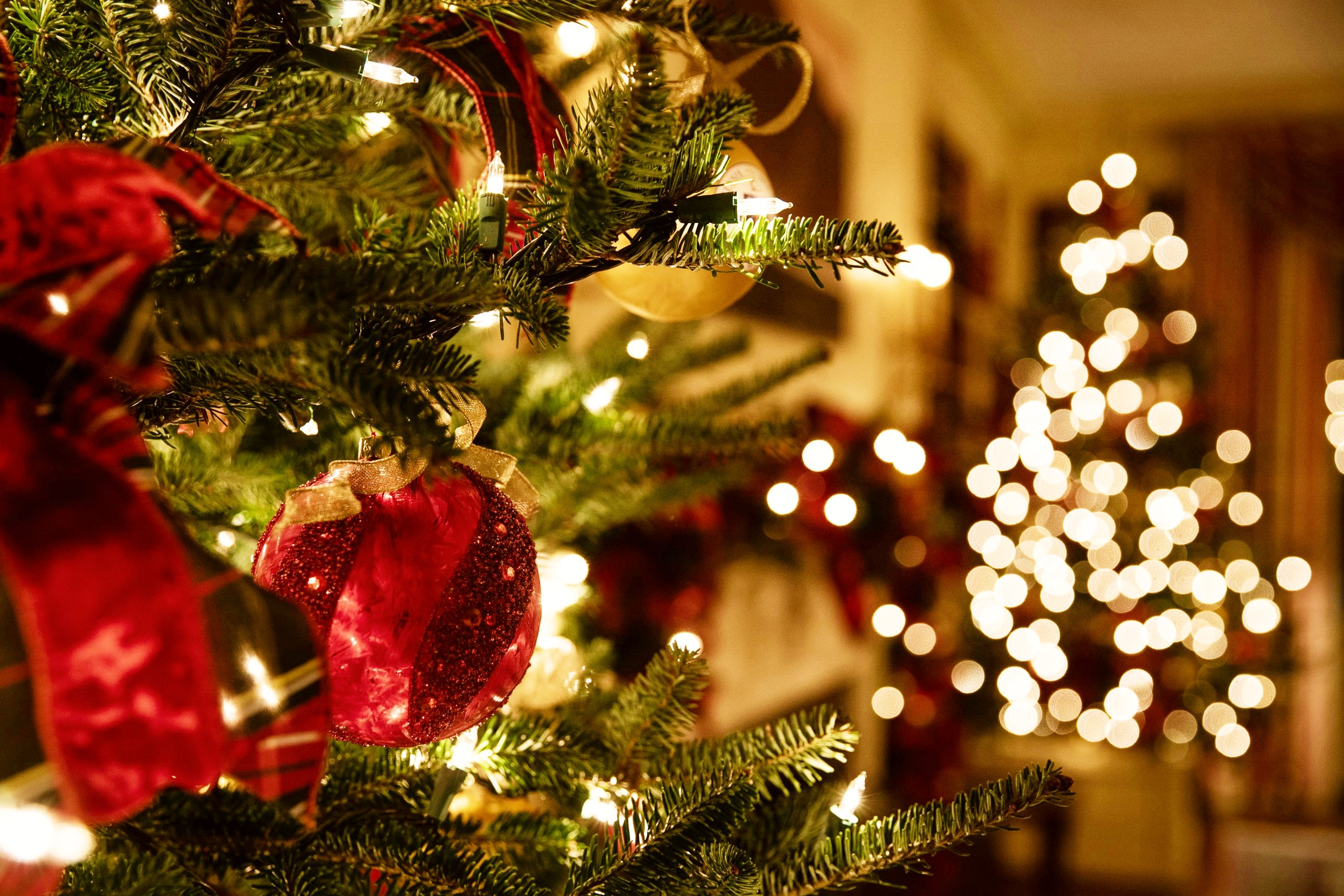 Weihnachtliche Beleuchtung mit Tannenbäumen und Tannengirlande