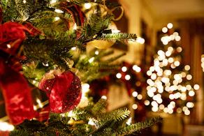 Weihnachtliche Beleuchtung mit Tannenbäumen und Tannengirlande