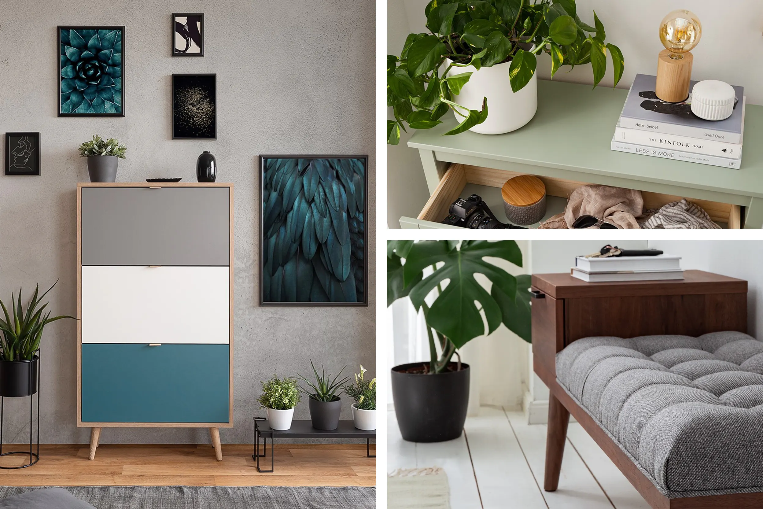 Pflanzen und kleine Bildergalerie im Flur