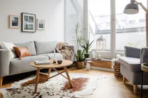 Petit salon lumineux avec parquet clair, près d'une grande fenêtre, avec un petit canapé gris clair, un petit tapis en peau, une petite table basse en bois clair, une plante et un fauteuil gris clair.